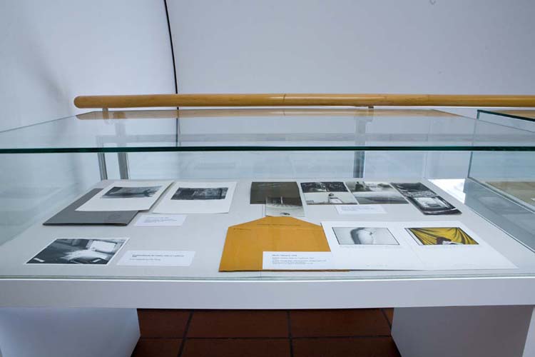 <a href="default.asp?s=3099">2010&nbsp;&nbsp;Sammlung B. und H. Hahn</a>