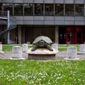 <a href="default.asp?s=3305">Zeughausstr. 8, 50667 K&ouml;ln</a>